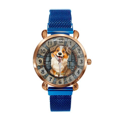 d85dd91b-d379-4a33-afcf-f2a36335daf4