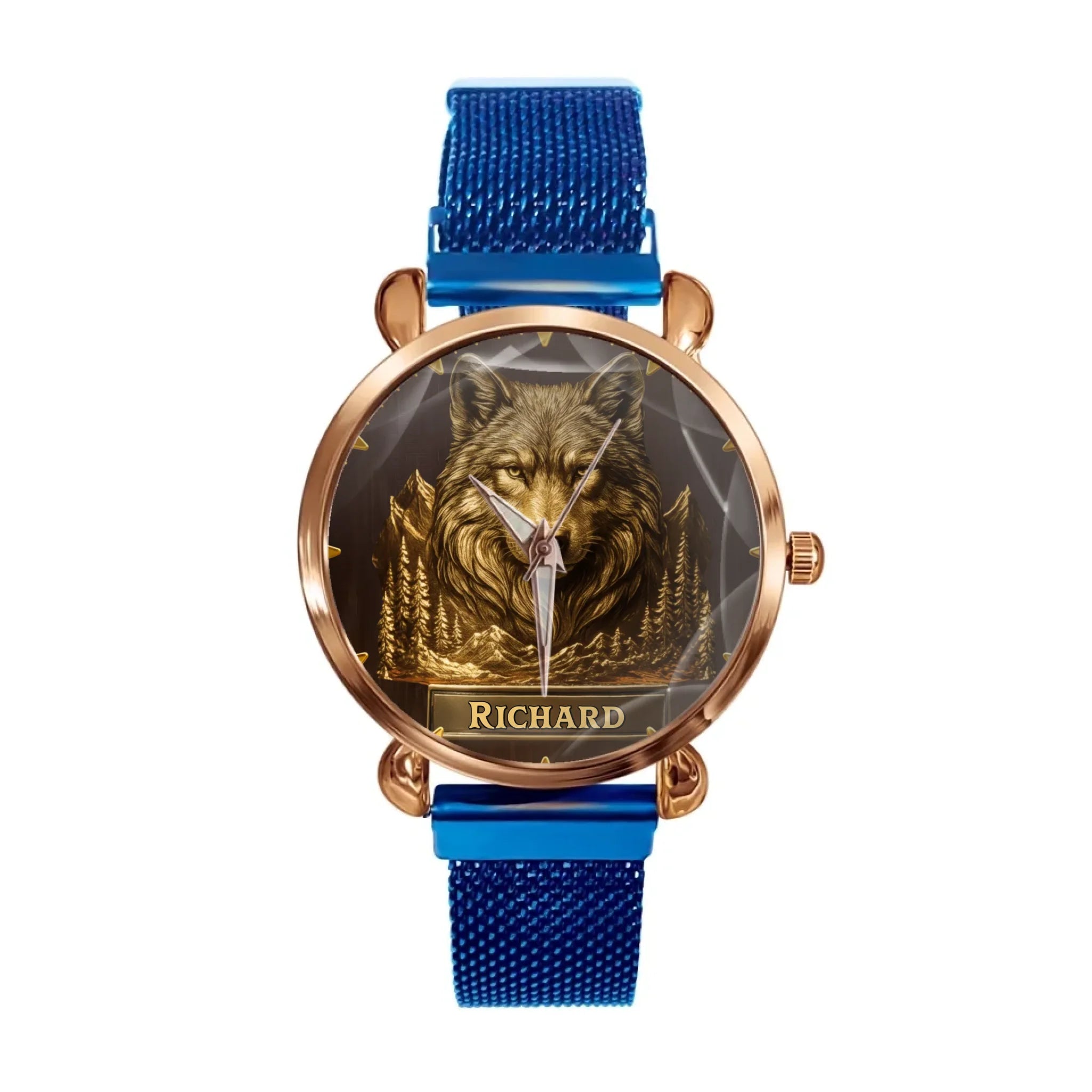 d85dd91b-d379-4a33-afcf-f2a36335daf4