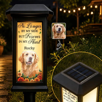 Art Design_Christmas_Sympathetic_Pet Lovers_Memorial_Photo - Stained_yyt (6)